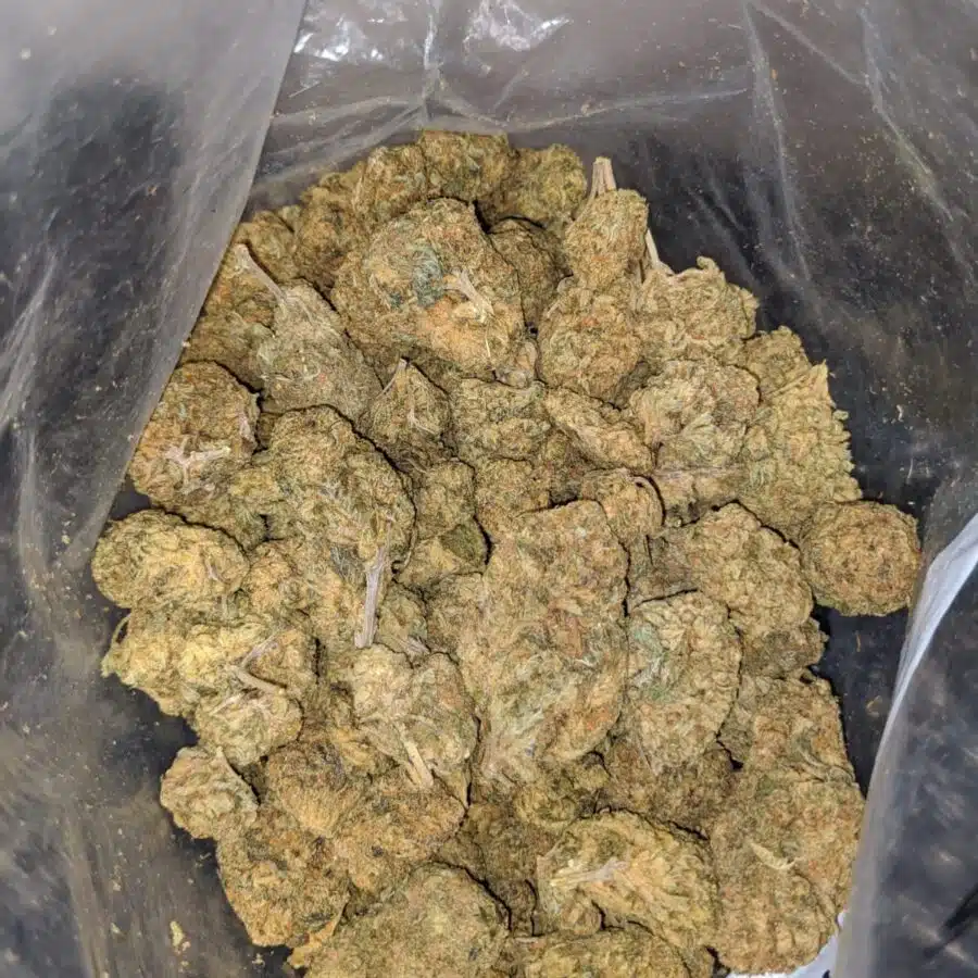 GREEN GOBLIN BULK SPECIAL 4 I Green Goblin Bulk Special