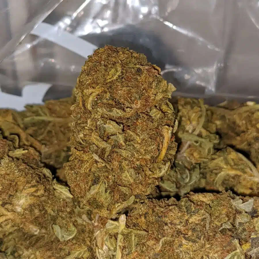 GREEN THAI BS TO POT OF GOLD BS 1 I Pot Of Gold Bulk Special