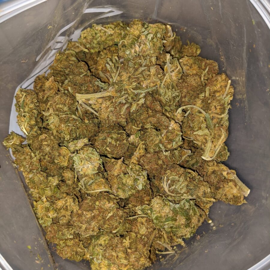 GREEN THAI BS TO POT OF GOLD BS 2 I Pot Of Gold Bulk Special