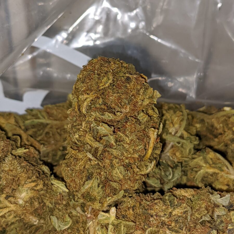 GREEN THAI BS TO POT OF GOLD BS 4 I Pot Of Gold Bulk Special