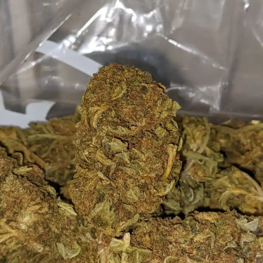 GREEN THAI BS TO POT OF GOLD BS 4 I Pot Of Gold Bulk Special
