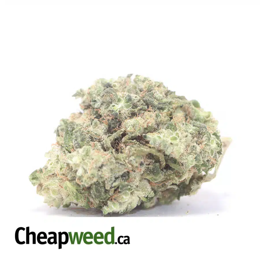 Super Kush Bulk Special