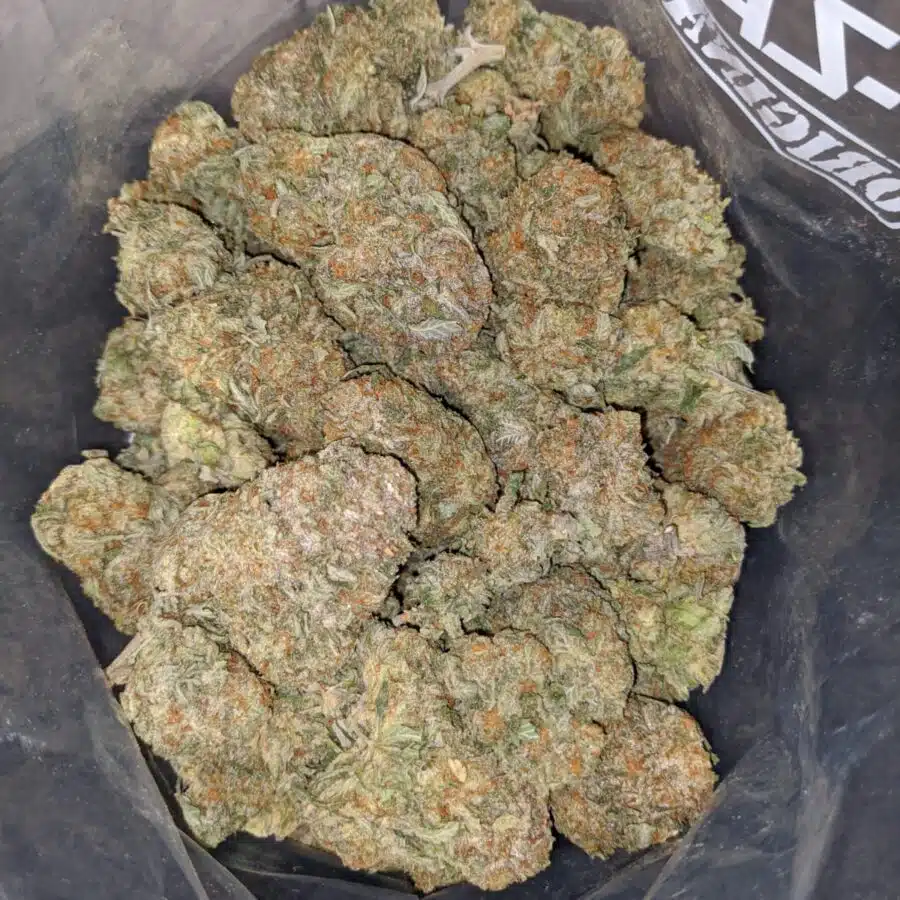 JET FUEL DOD 4 I Jetfuel - *Deal of the Day*