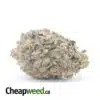 Lambs Bread - *Deal Of The Day*