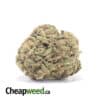 Lemon Zest Bulk Special