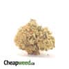 Lemoncello Bulk Special