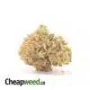 Lemoncello Bulk Special