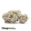 Lindsay OG - *Deal Of The Day*