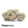 Lindsay OG - *Deal Of The Day*