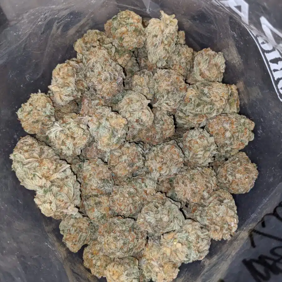 MASTER KUSH DOD 4 I Master Kush - *Deal of the Day*