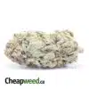 Master Kush - *Deal of the Day*