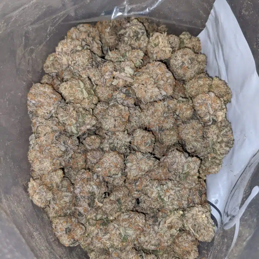 Alternative view of Rock Bud AAA
