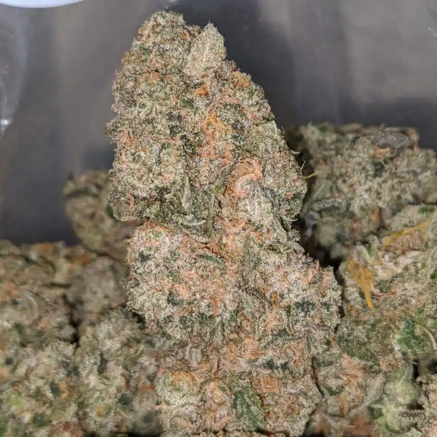 Alternative view of $ 62 Oz - Blackberry Cream