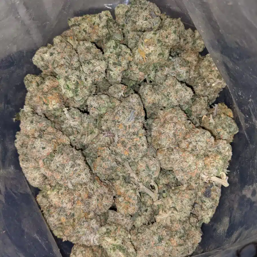 PLATINUM HAZE 3 I $ 62 Oz - Blackberry Cream