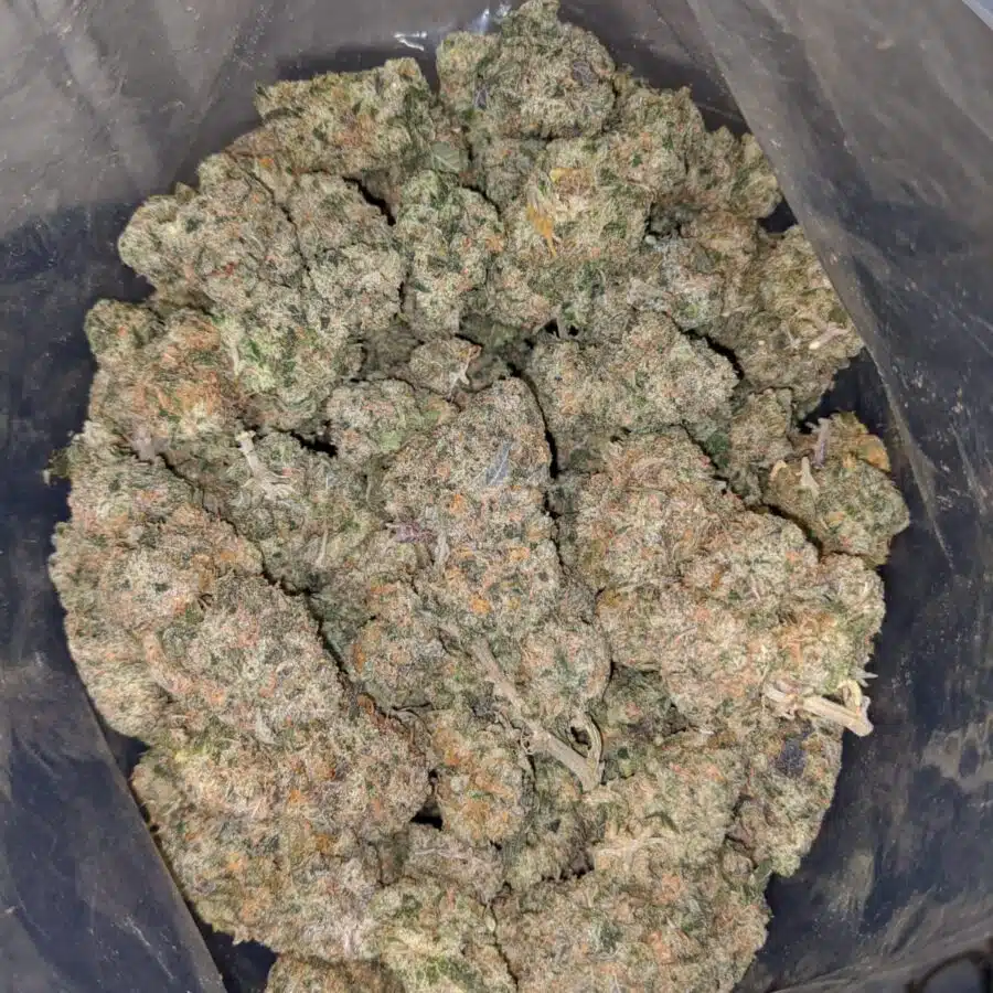 $ 62 Oz - Blackberry Cream