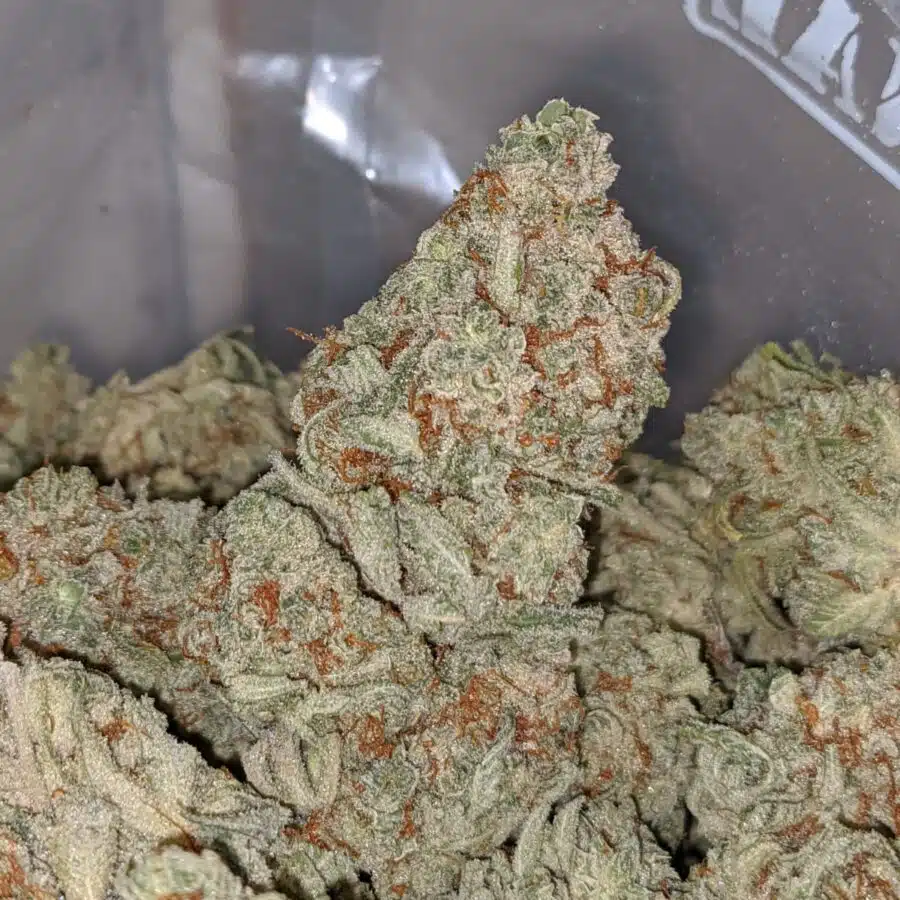 PLATINUM OG TO SNOW WHITE 2 I Snow White