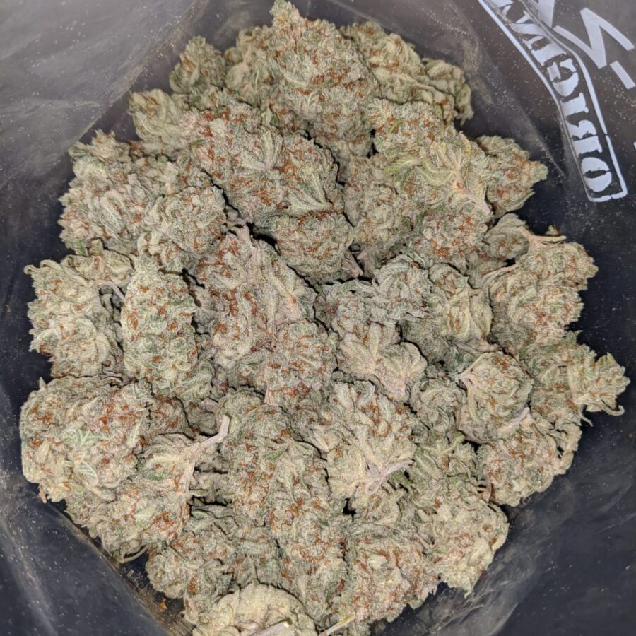 PLATINUM OG TO SNOW WHITE 3 I Snow White