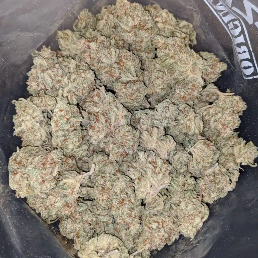 Snow White