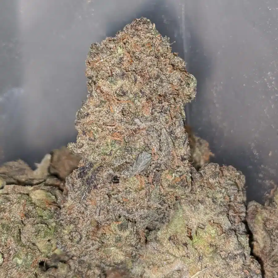 PURPLE KANDY KUSH 2 I Purple Kandy Kush