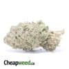 Raspberry Cough - *Deal Of The Day*
