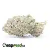 Raspberry Cough - *Deal Of The Day*