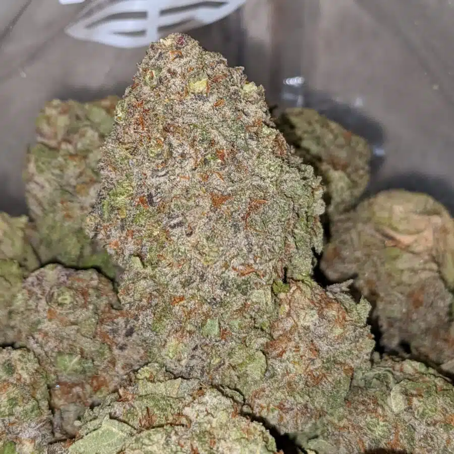 RASPBERRY COUGH DOD 1 I Raspberry Cough - *Deal Of The Day*