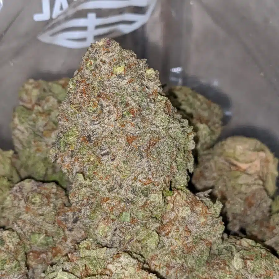 RASPBERRY COUGH DOD 2 I Raspberry Cough - *Deal Of The Day*