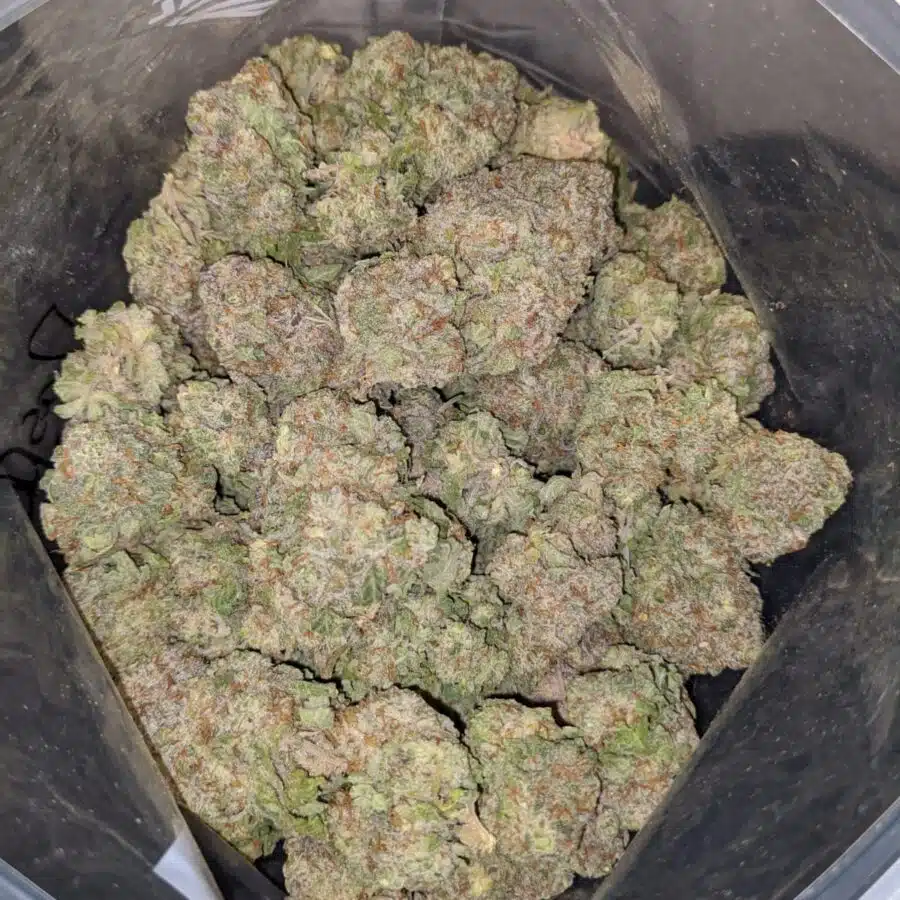 RASPBERRY COUGH DOD 3 I Raspberry Cough - *Deal Of The Day*