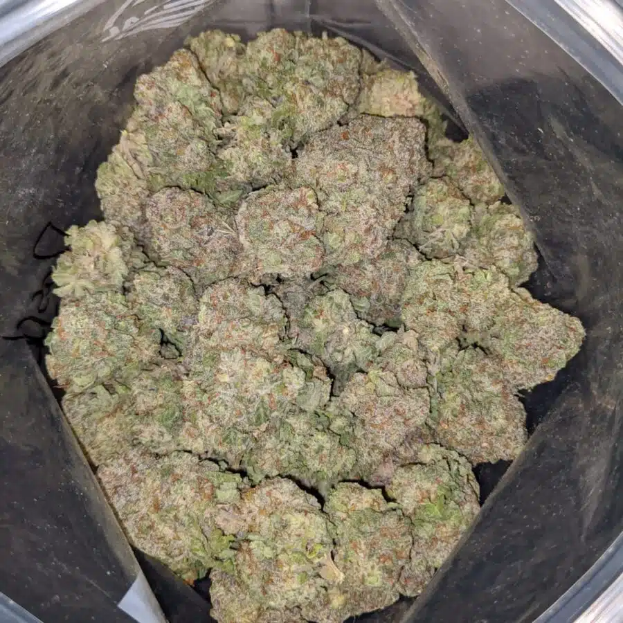 RASPBERRY COUGH DOD 4 I Raspberry Cough - *Deal Of The Day*