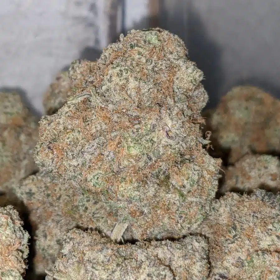 SUNSET COOKIES AAA 1 I Sunset Cookies AAA