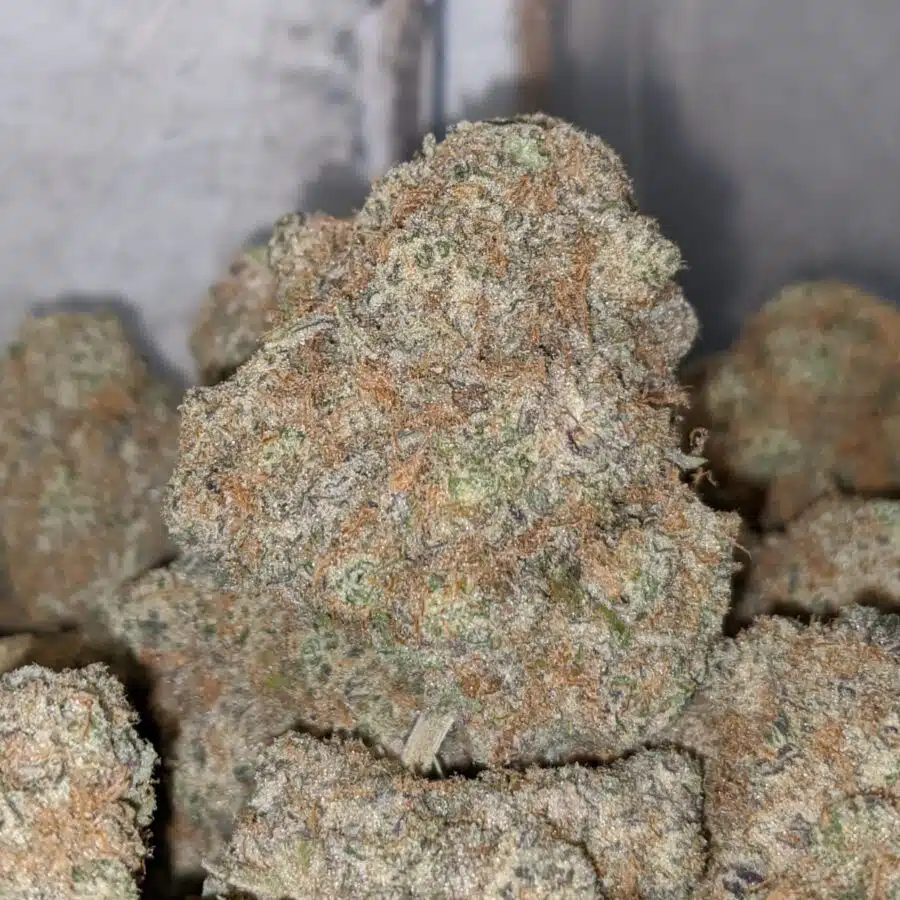 SUNSET COOKIES AAA 2 I Sunset Cookies AAA