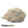 Super Purple- *Deal of the Day*