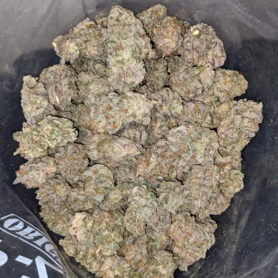 SWEET DREAM DOD TO BLUEBERRY CANDY DOD 2 I Blueberry Candy - *Deal Of The Day*