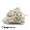 Sweet Tooth - *Deal of the Day*