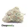 Sweet Tooth - *Deal of the Day*