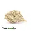 Thunderfuck Bulk Special