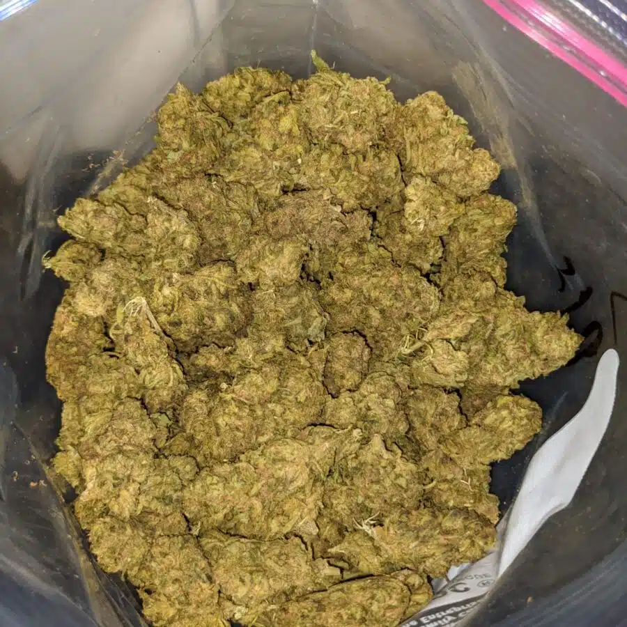 VENOM OG BS TO BLACK AFGHAN BS 4 I Black Afghan Bulk Special