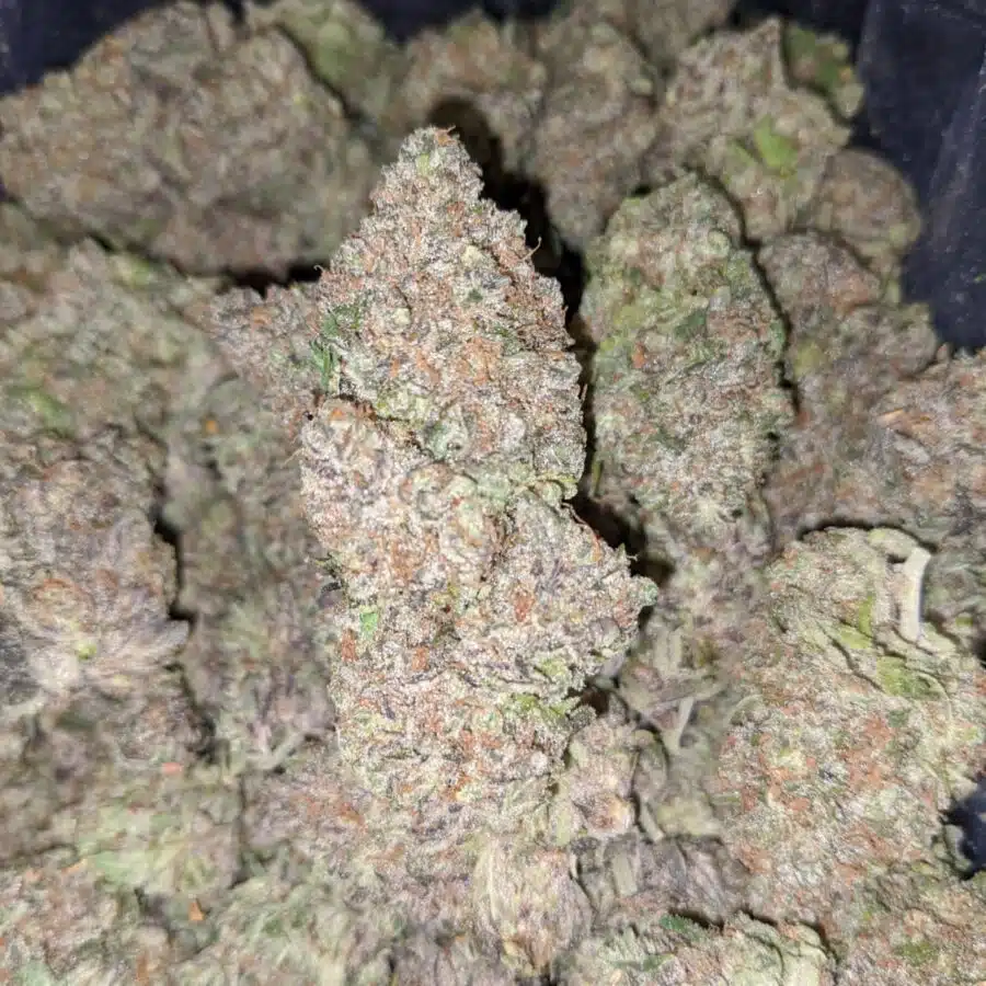 VERY BERRY DOD TO HAWAIIN PUNCH 1 I Hawaiian Punch