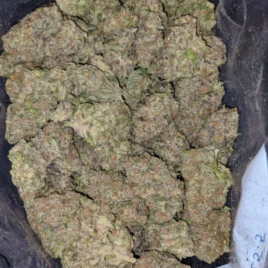 VERY BERRY DOD TO HAWAIIN PUNCH 4 I Hawaiian Punch