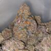 Purple Biscotti * Deal Of The Day *