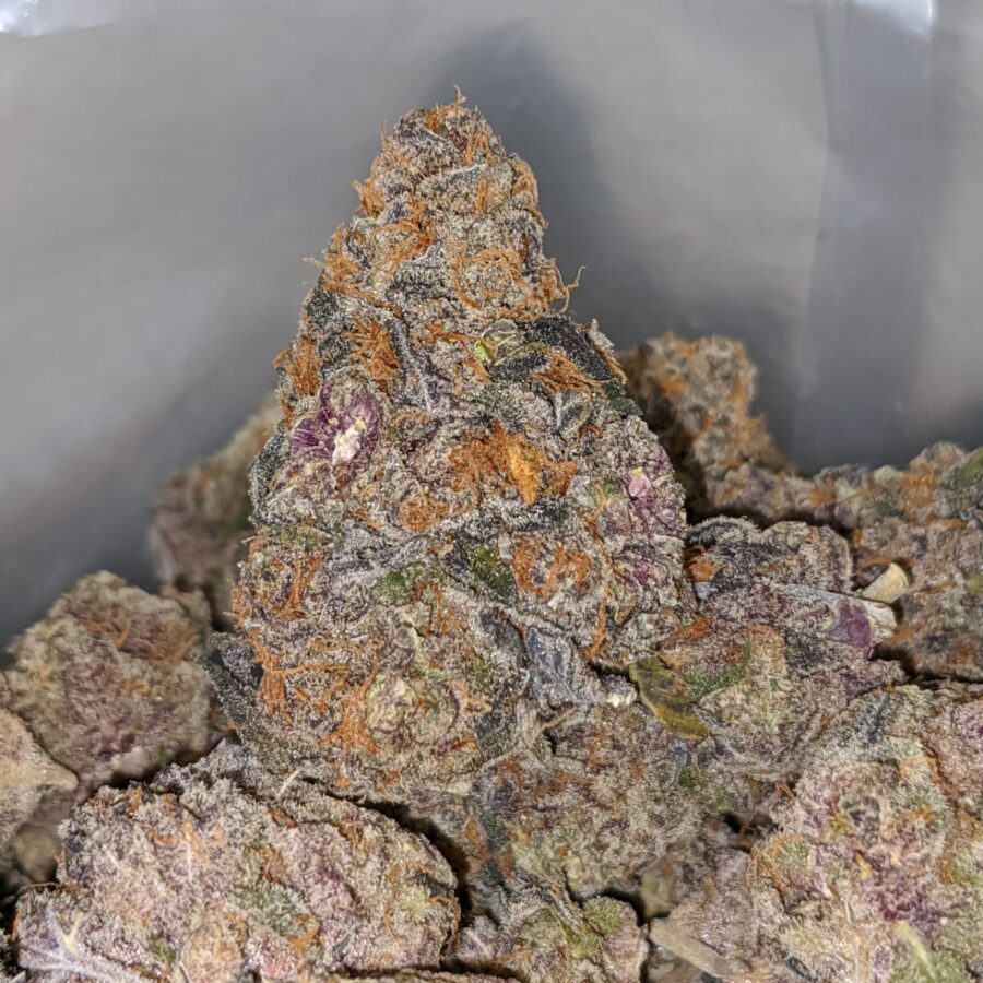 WhatsApp Image 2022 09 02 at 2.46.22 PM I Purple Biscotti * Deal Of The Day *