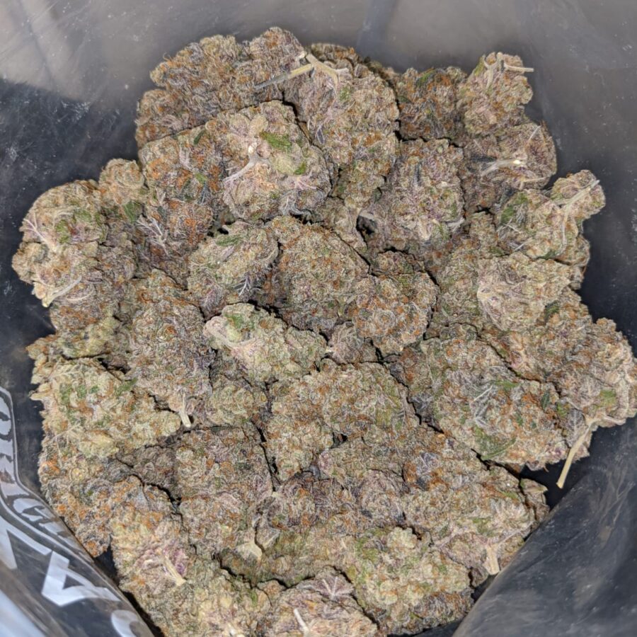 WhatsApp Image 2022 09 02 at 2.46.23 PM I Purple Biscotti * Deal Of The Day *