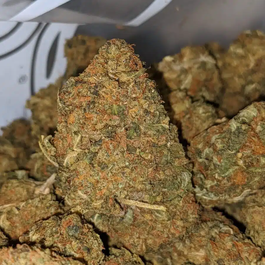 aa stinky bubba 1 I $22 Oz - Goat Bubba