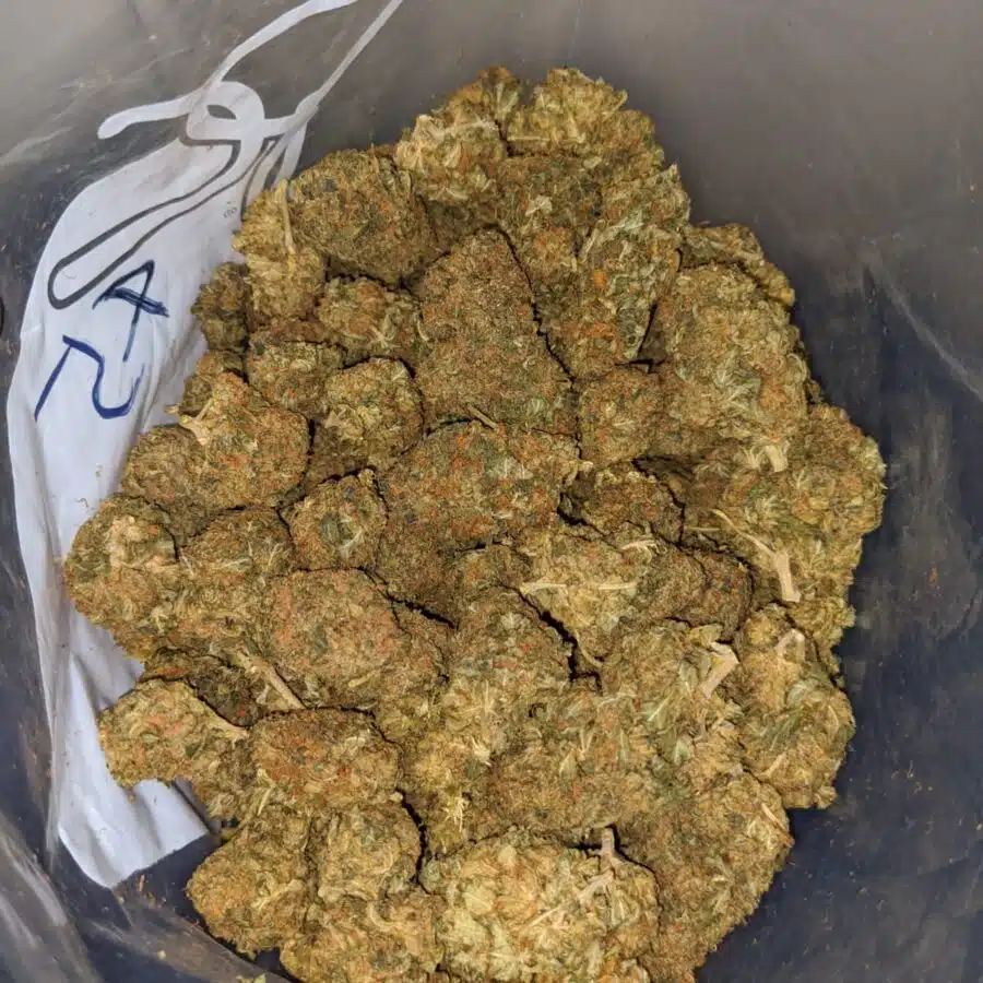 aa stinky bubba 3 I $22 Oz - Goat Bubba