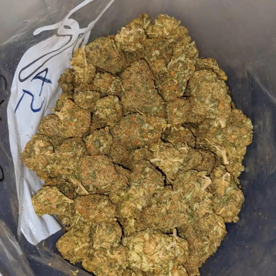 aa stinky bubba 4 I $22 Oz - Goat Bubba