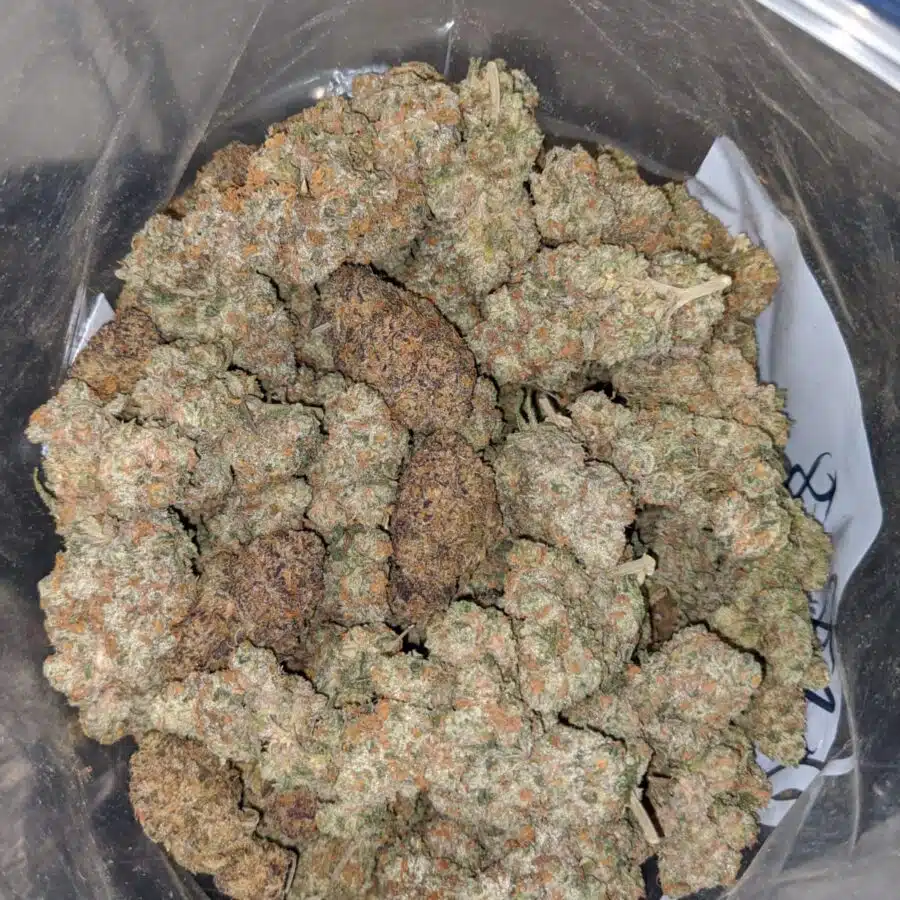 aaa mixed blue strain 1 I AAA- Mixed Blue Strain