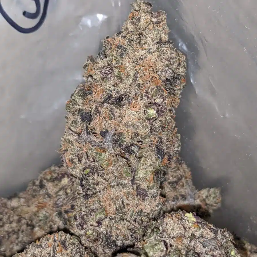 acai berry gelato 1 I Acai Berry Gelato
