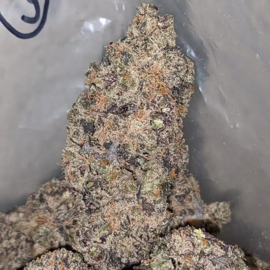 acai berry gelato 2 I Acai Berry Gelato