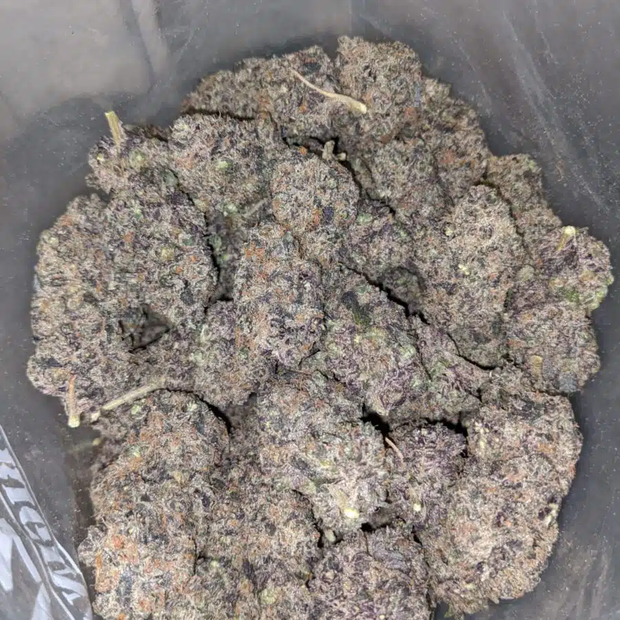 acai berry gelato 3 I Acai Berry Gelato