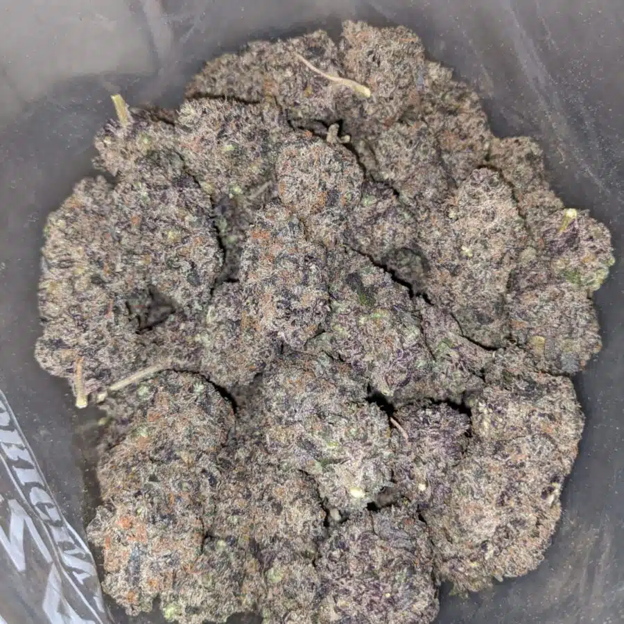 acai berry gelato 4 I Acai Berry Gelato